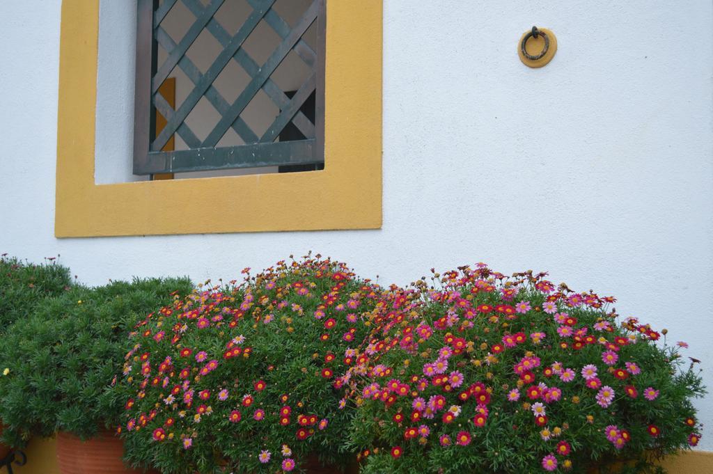 Lusitanus Golegã Exterior foto