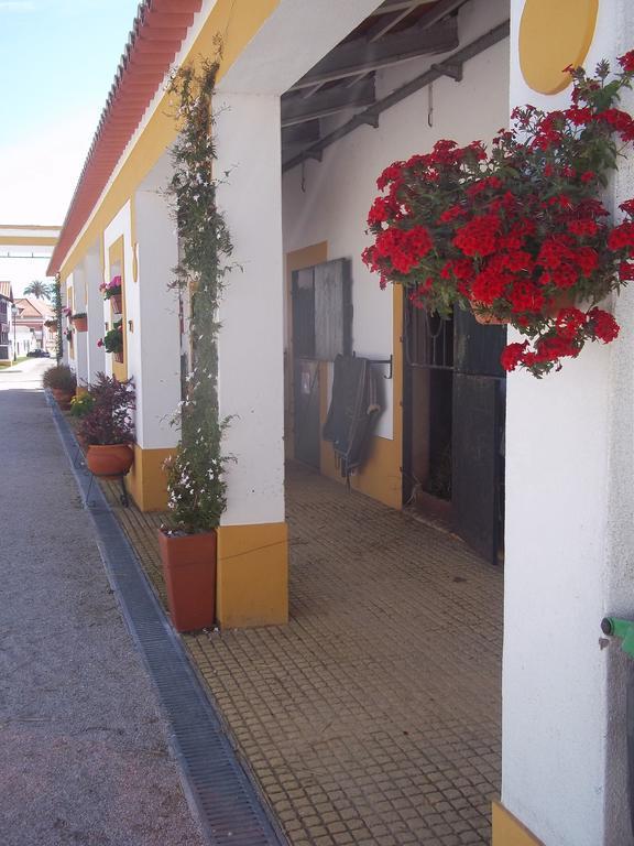 Lusitanus Golegã Exterior foto